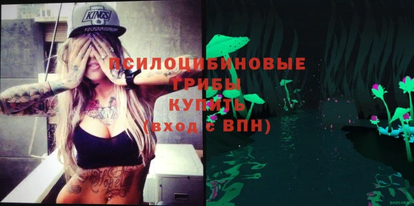 дмт Зеленокумск