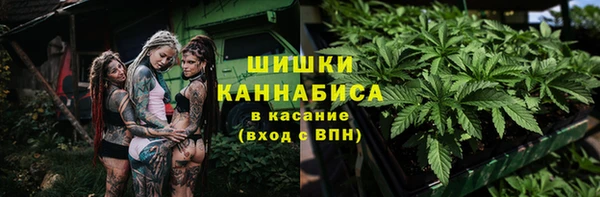 дмт Зеленокумск