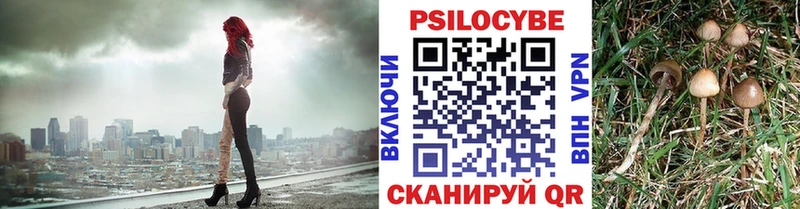 Купить  Георгиевск  Псилоцибиновые грибы GOLDEN TEACHER 