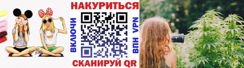 Купить где  Георгиевск  Конопля план 